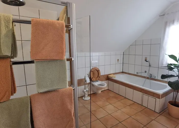 Riedblick Bad Buchau